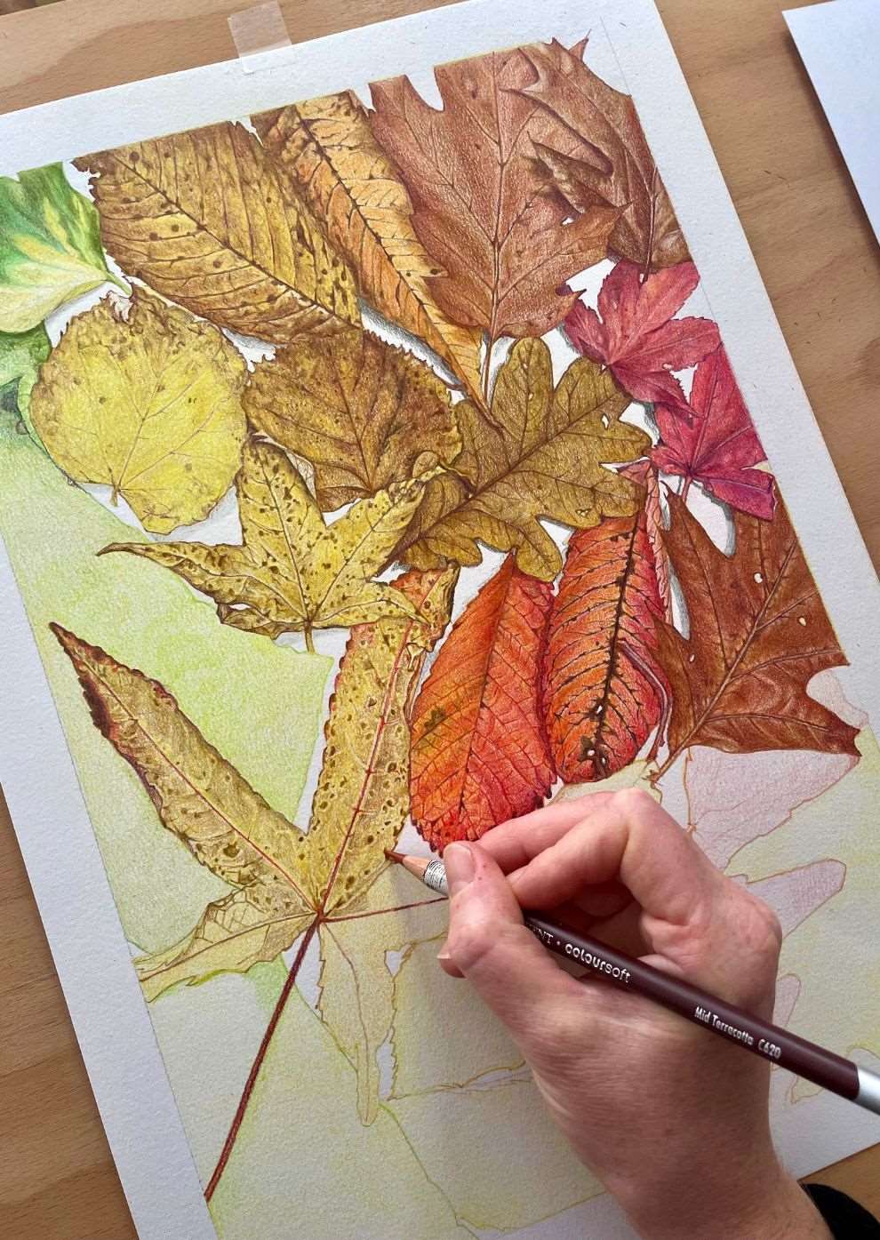 Pencil on Paper, A work-in-progress shot of a pencil-drawn illustration, showcasing Autumn leaves.
